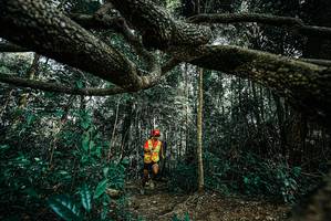 BIB: 
                            <button type="button" onclick="openModal(25706244)" class="btn btn-primary btn-sm float-right btn-popup" data-toggle="modal" data-target=".modal-high-quality">
                        <i class="fas fa-shopping-cart"></i> Add to Cart
                    </button>
                                            <button type="button" onclick="isThisMe(25706244, true)" class="btn btn-success btn-sm float-right btn-popup btn-isme hidden" data-toggle="tooltip" data-placement="bottom" title="นี่คือรูปของคุณใช่ไหม คลิกที่นี่เพื่อเอาเข้าอัลบั้ม">
                        <i class="fas fa-plus"></i> Add to album
                    </button>
                    <button type="button" onclick="isThisMe(25706244, false)" class="btn btn-warning btn-sm float-right btn-popup btn-isnotme hidden">
                        <i class="fas fa-ban"></i> Remove from album
                    </button>